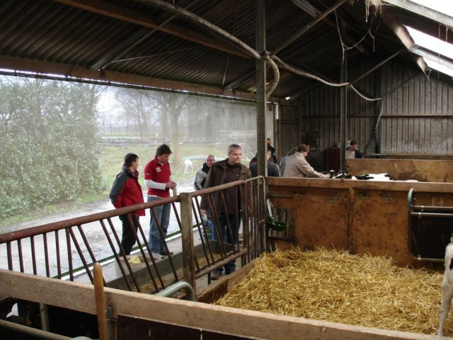 NWK200771.jpg