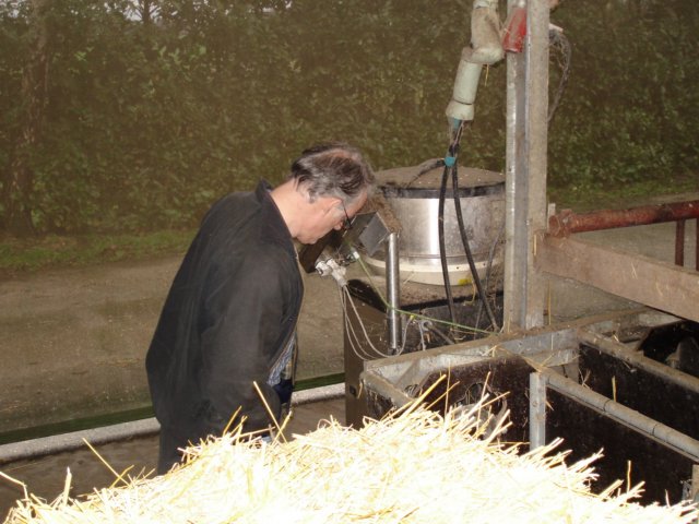 NWK200774.jpg