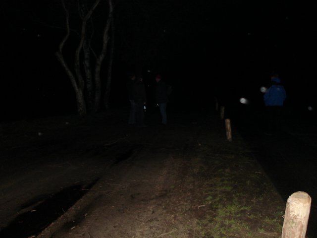 NWK200799.jpg