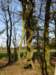 NWK2007125_small.jpg