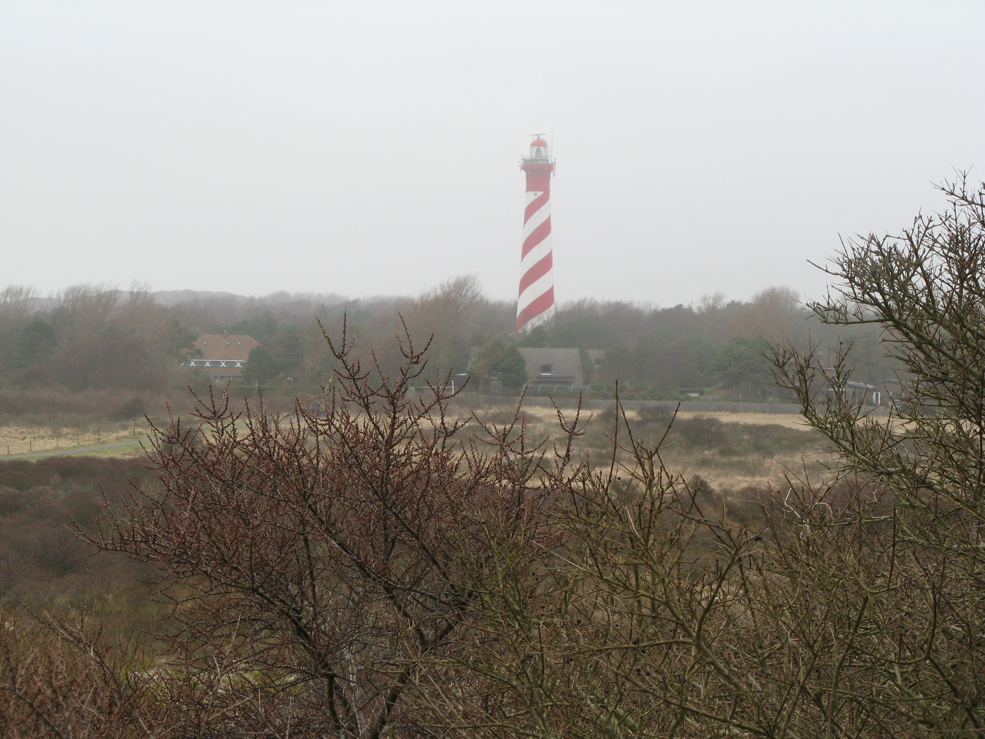 2008NWK1.jpg