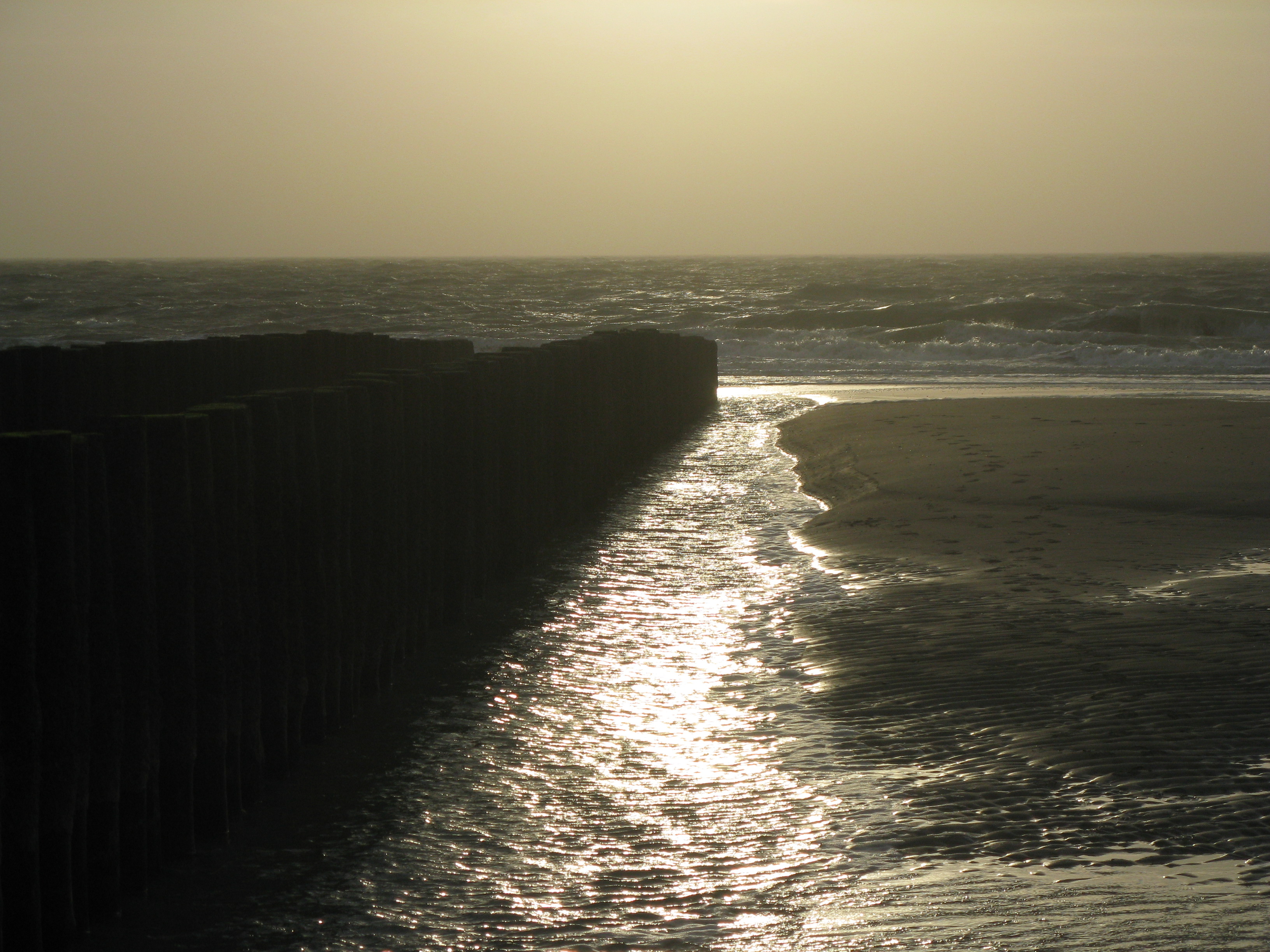 2008NWK23.jpg