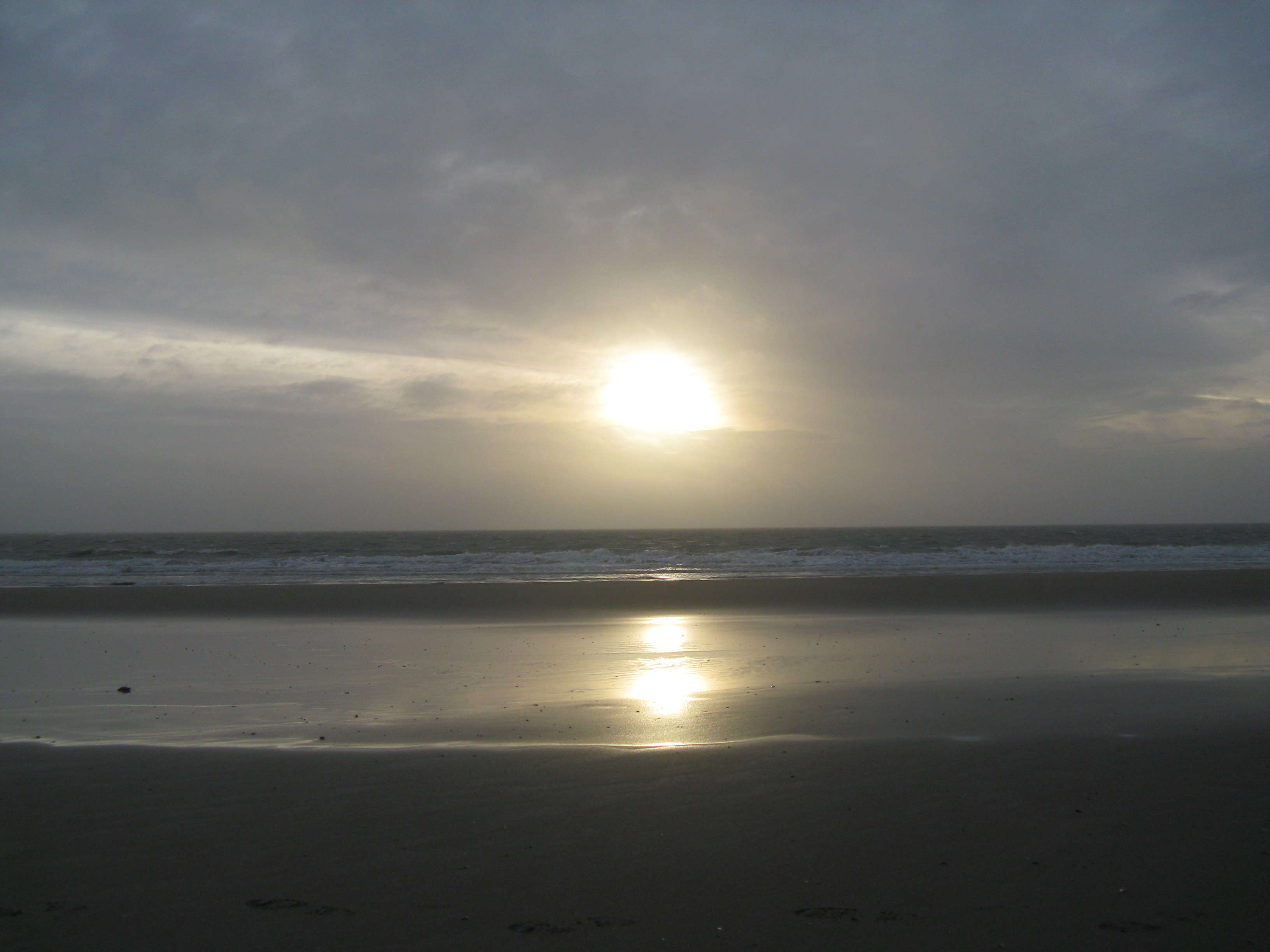 2008NWK26.jpg