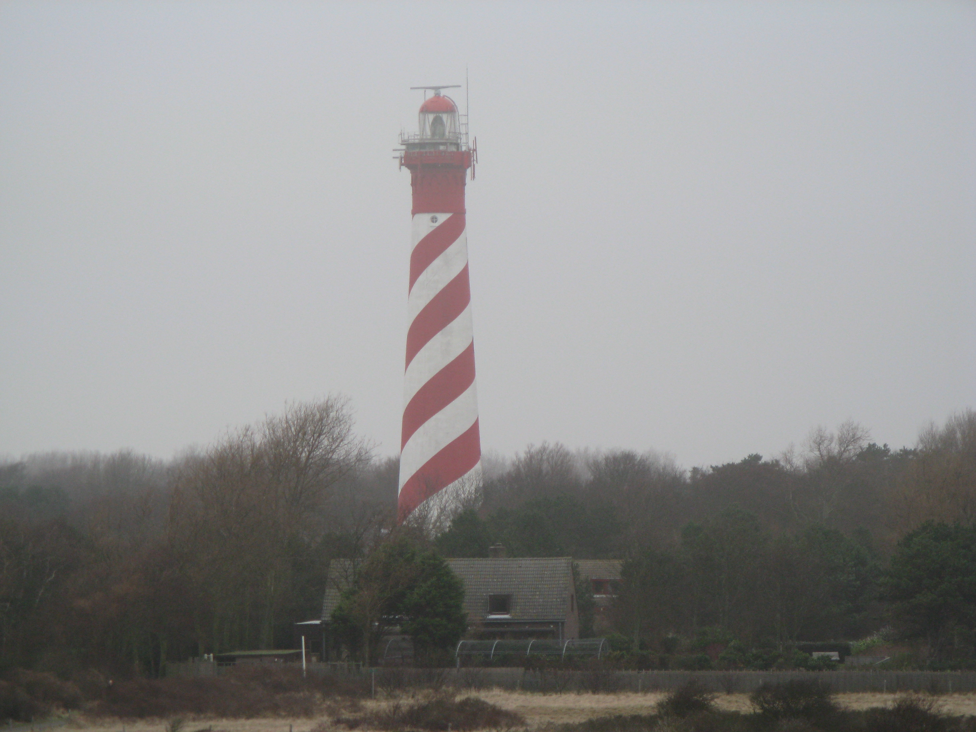 2008NWK3.jpg