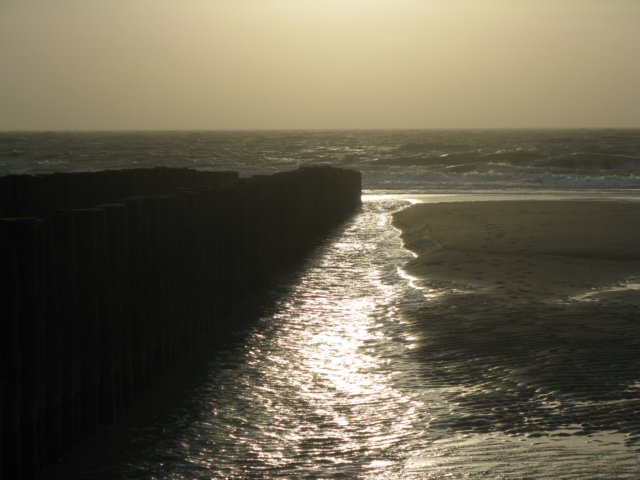 2008NWK23.jpg