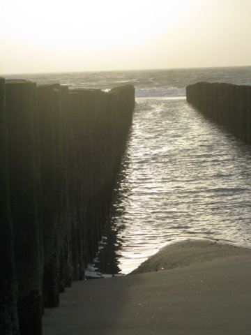 2008NWK24.jpg