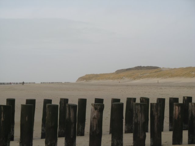 2008NWK25.jpg