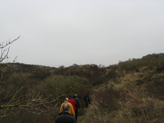2008NWK5.jpg