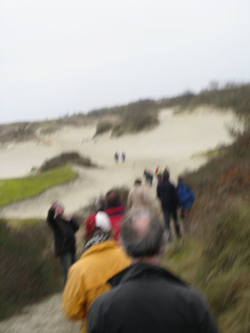 2008NWK6.jpg