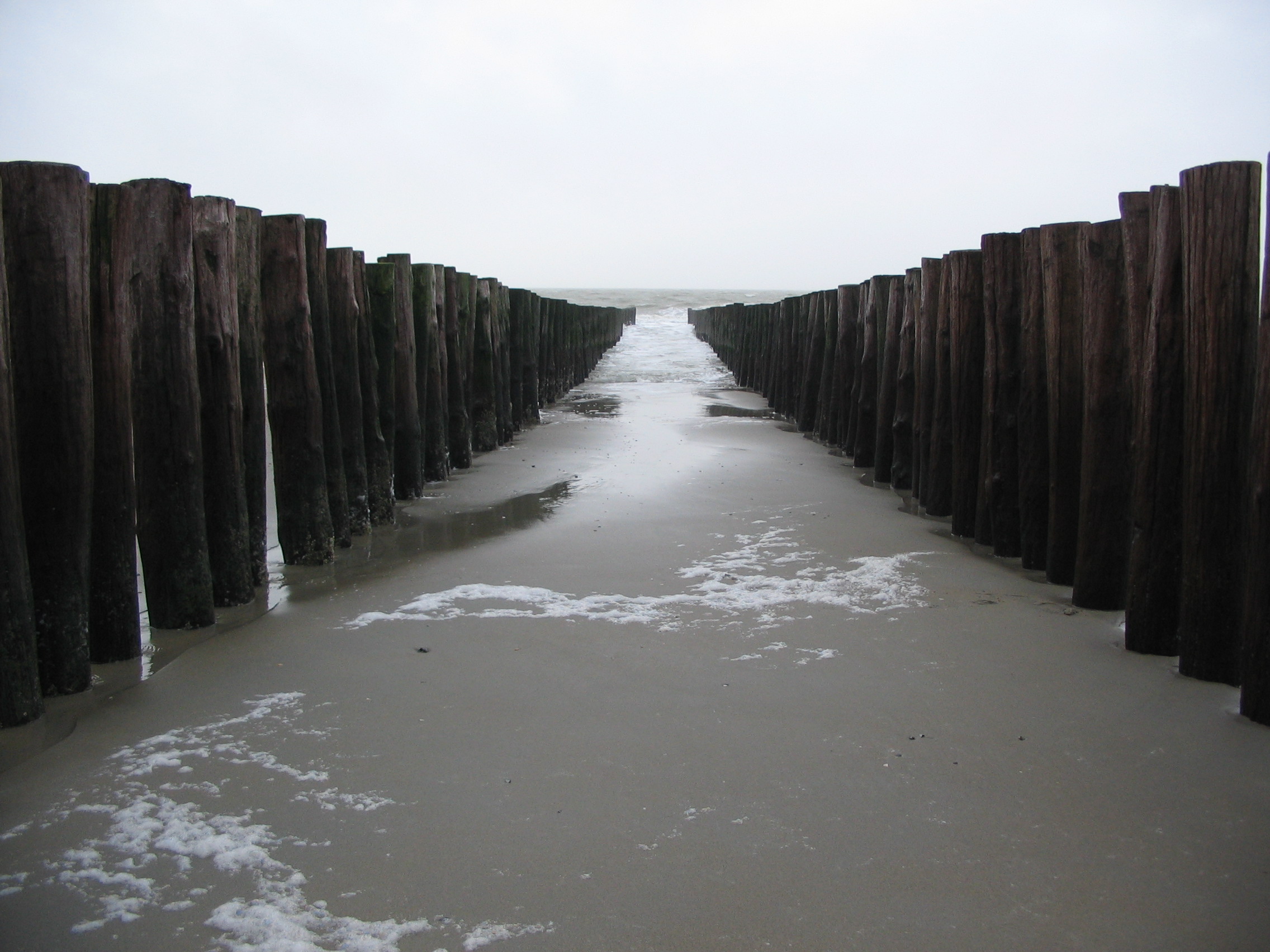 2008NWK23.jpg