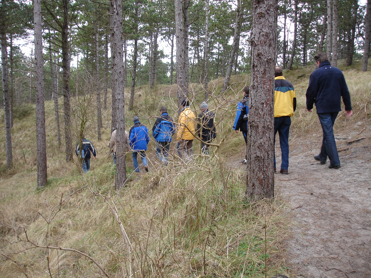 2008NWK3.jpg