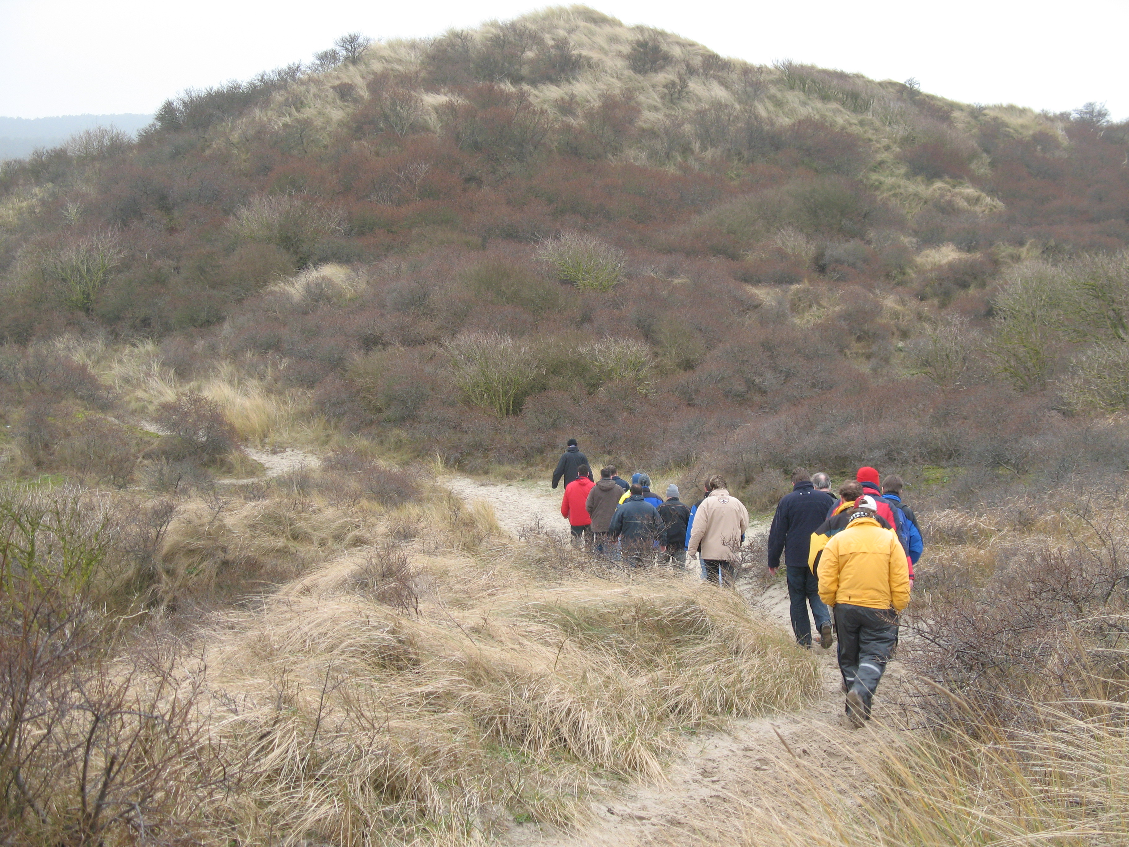 2008NWK54.jpg
