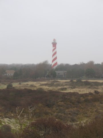 2008NWK14.jpg