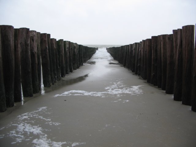 2008NWK23.jpg