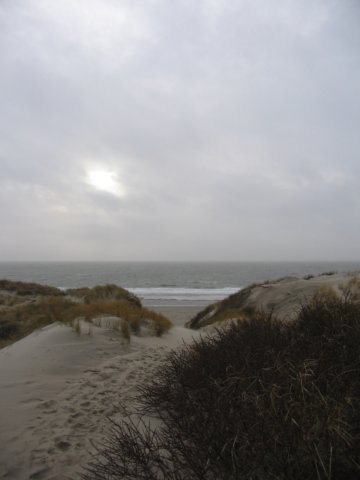 2008NWK31.jpg