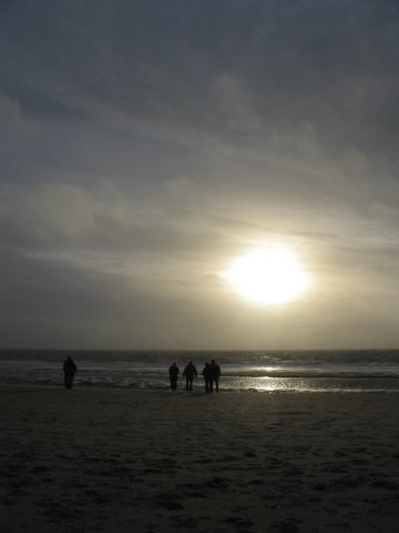 2008NWK36.jpg
