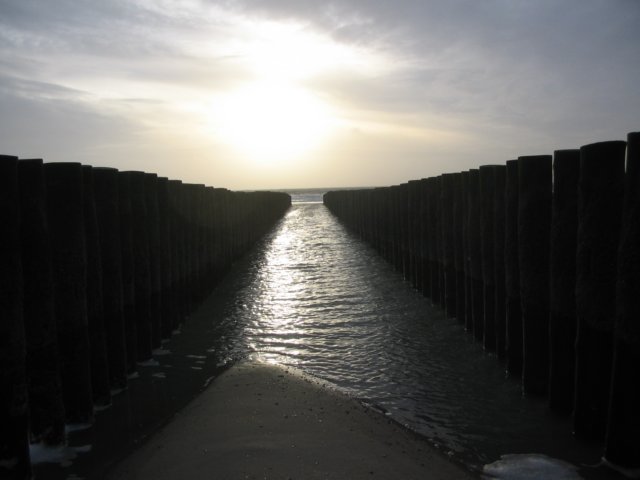 2008NWK44.jpg