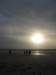 2008NWK36_small.jpg