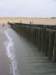 2008NWK43_small.jpg