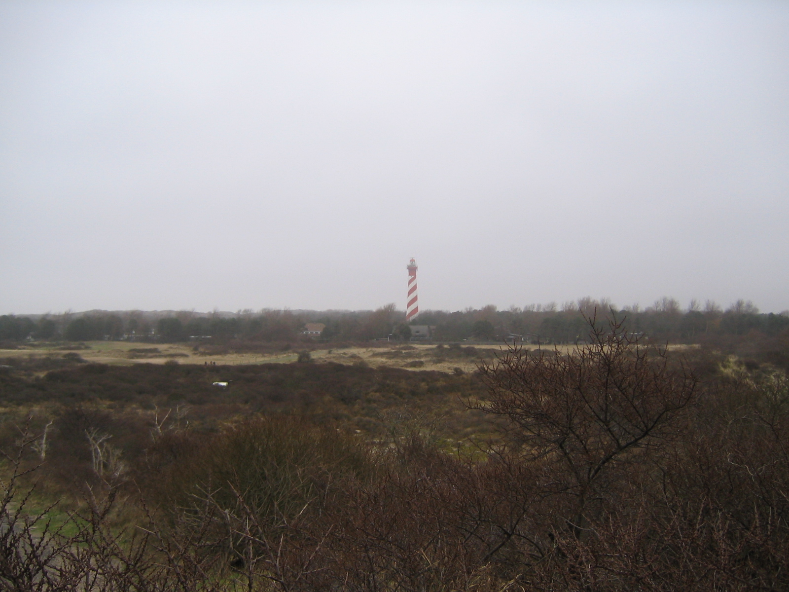 2008NWK002.jpg