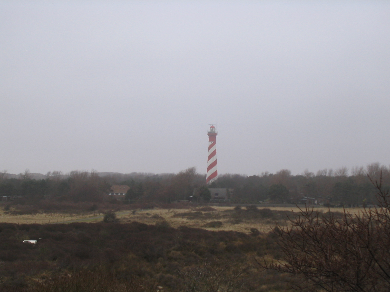 2008NWK003.jpg