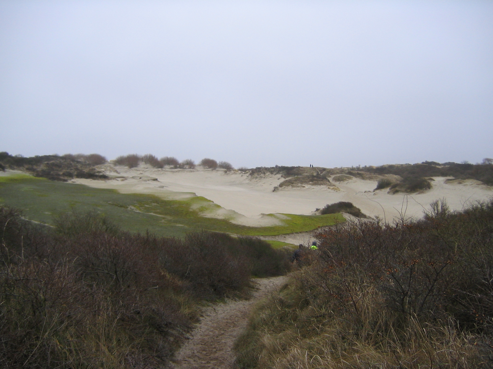 2008NWK004.jpg