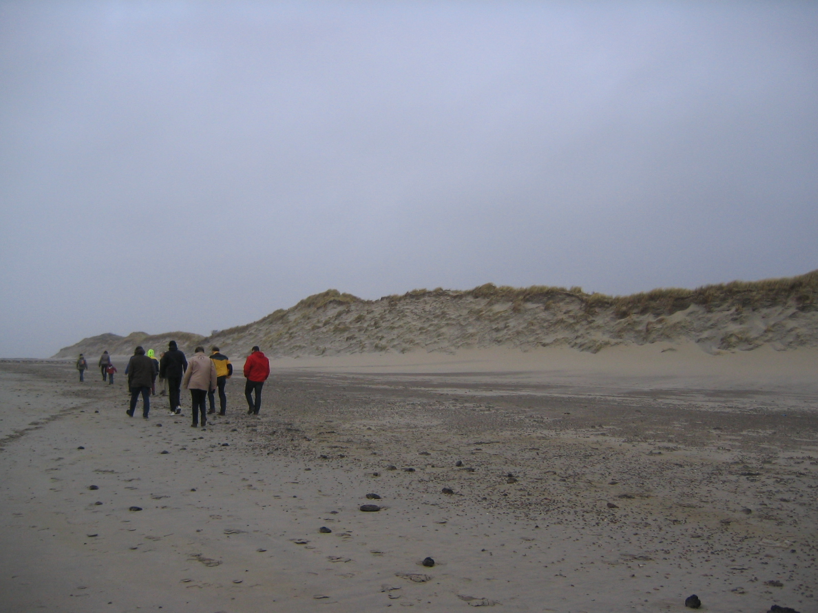 2008NWK011.jpg