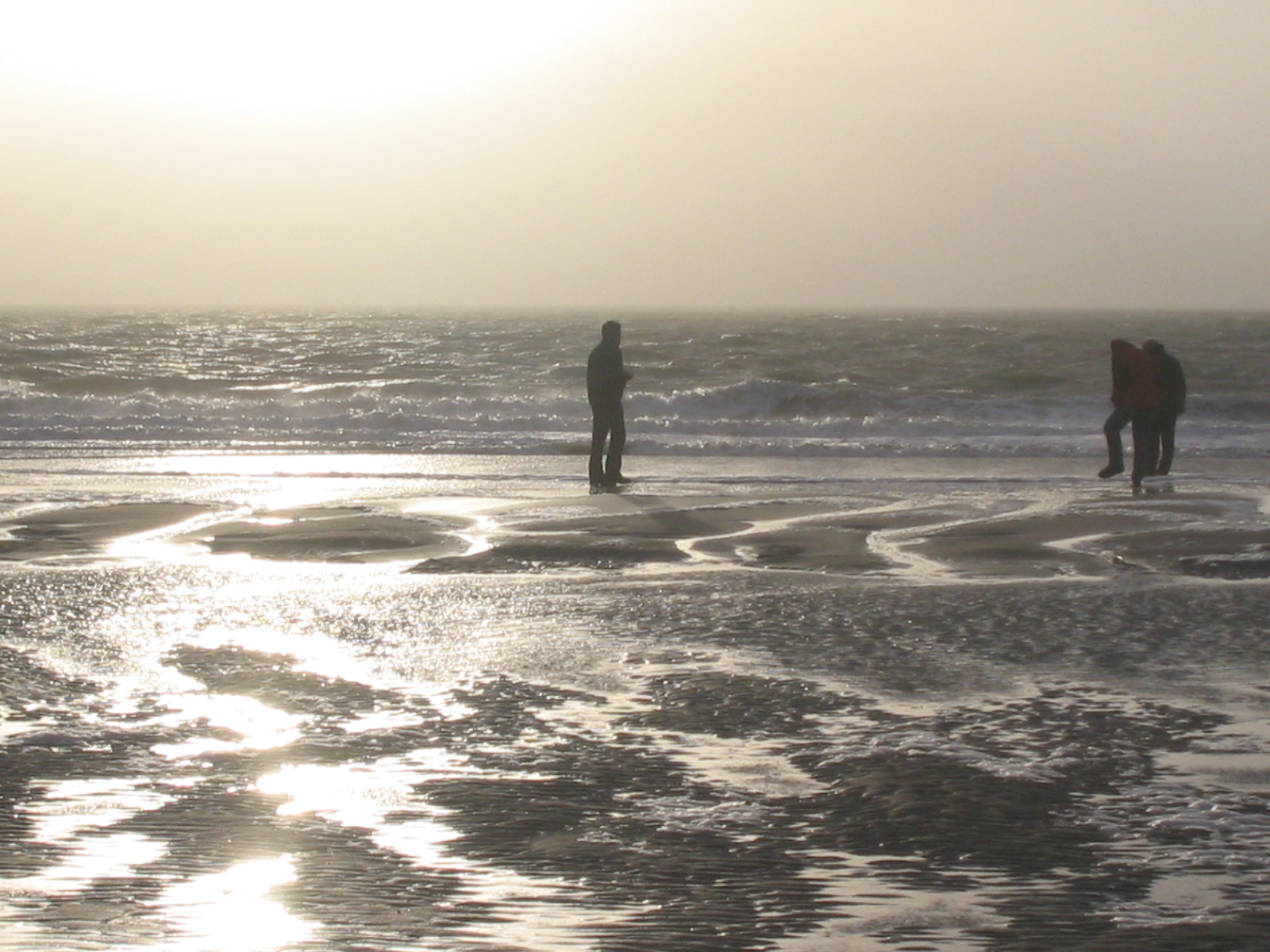 2008NWK025.jpg