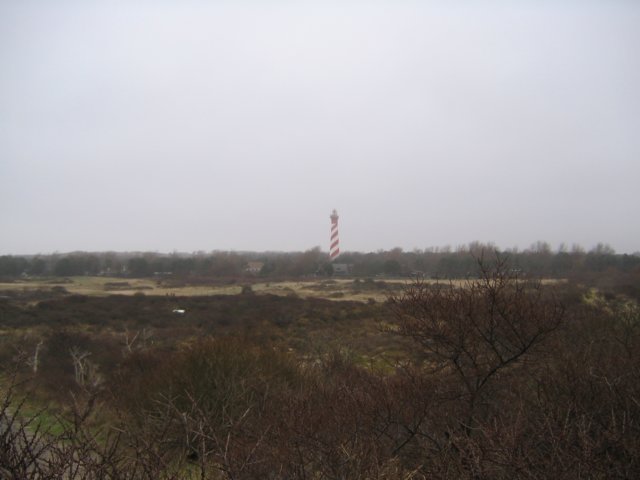 2008NWK002.jpg