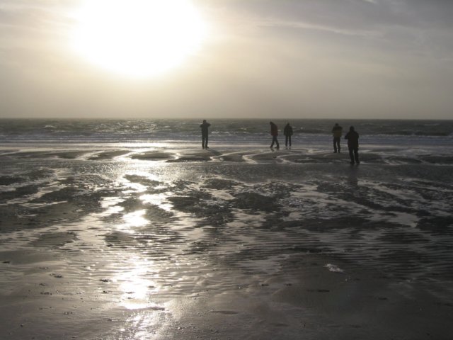 2008NWK026.jpg
