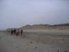 2008NWK011_small.jpg