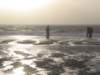 2008NWK025_small.jpg