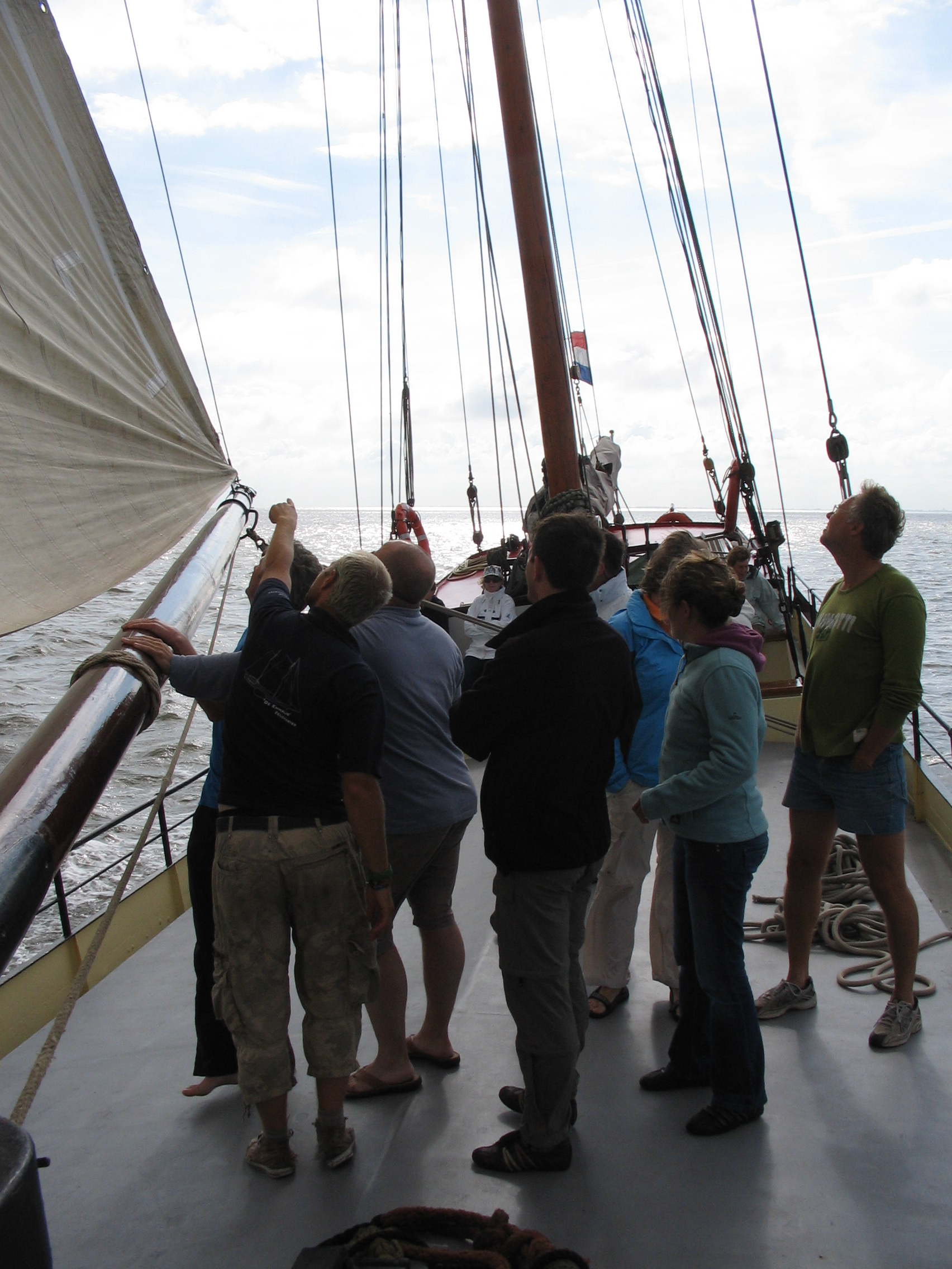 2008Zeilen41.jpg