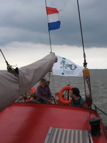 2008Zeilen29.jpg