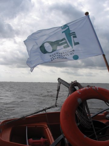 2008Zeilen3.jpg
