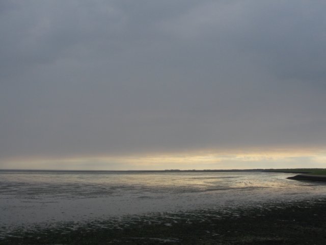 2008Zeilen36.jpg