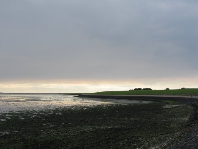 2008Zeilen37.jpg