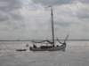 2008Zeilen15_small.jpg