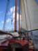2008Zeilen7_small.jpg