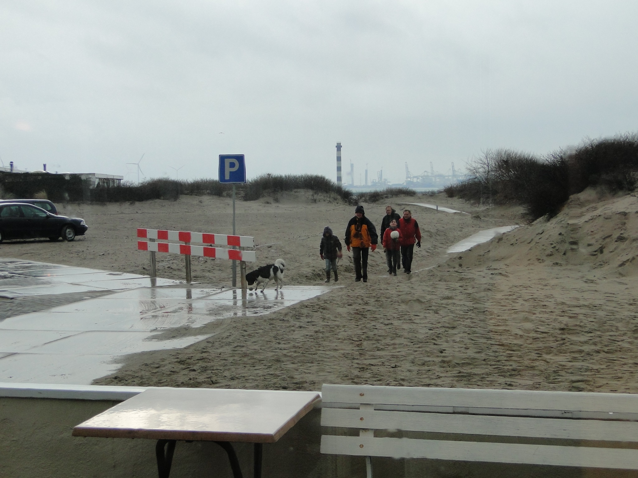 Strandwandeling019.jpg