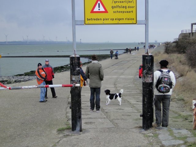 Strandwandeling010.jpg