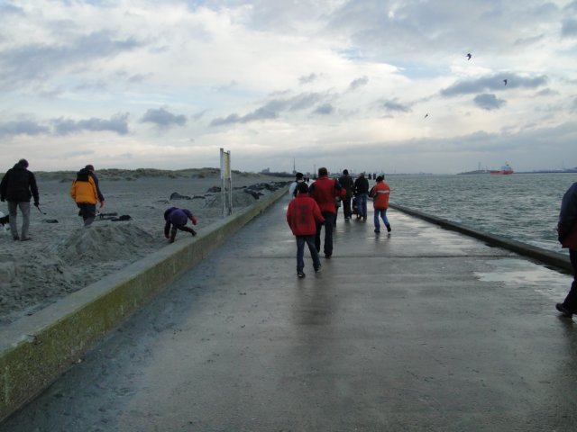Strandwandeling049.jpg