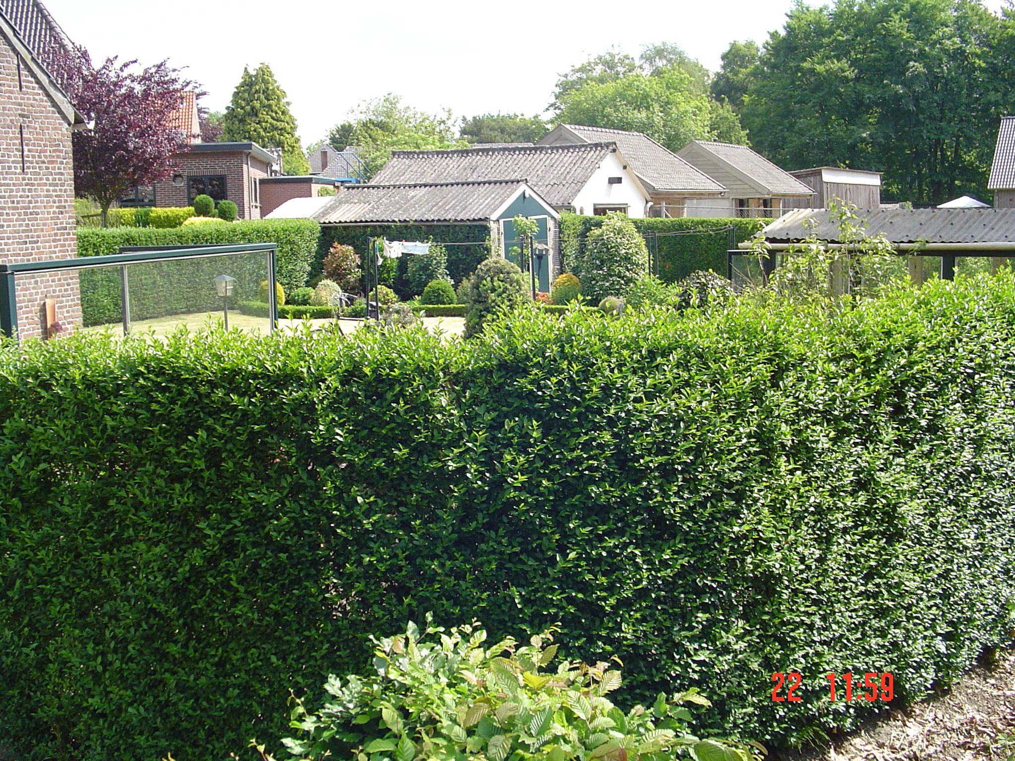 2009HWK036.jpg