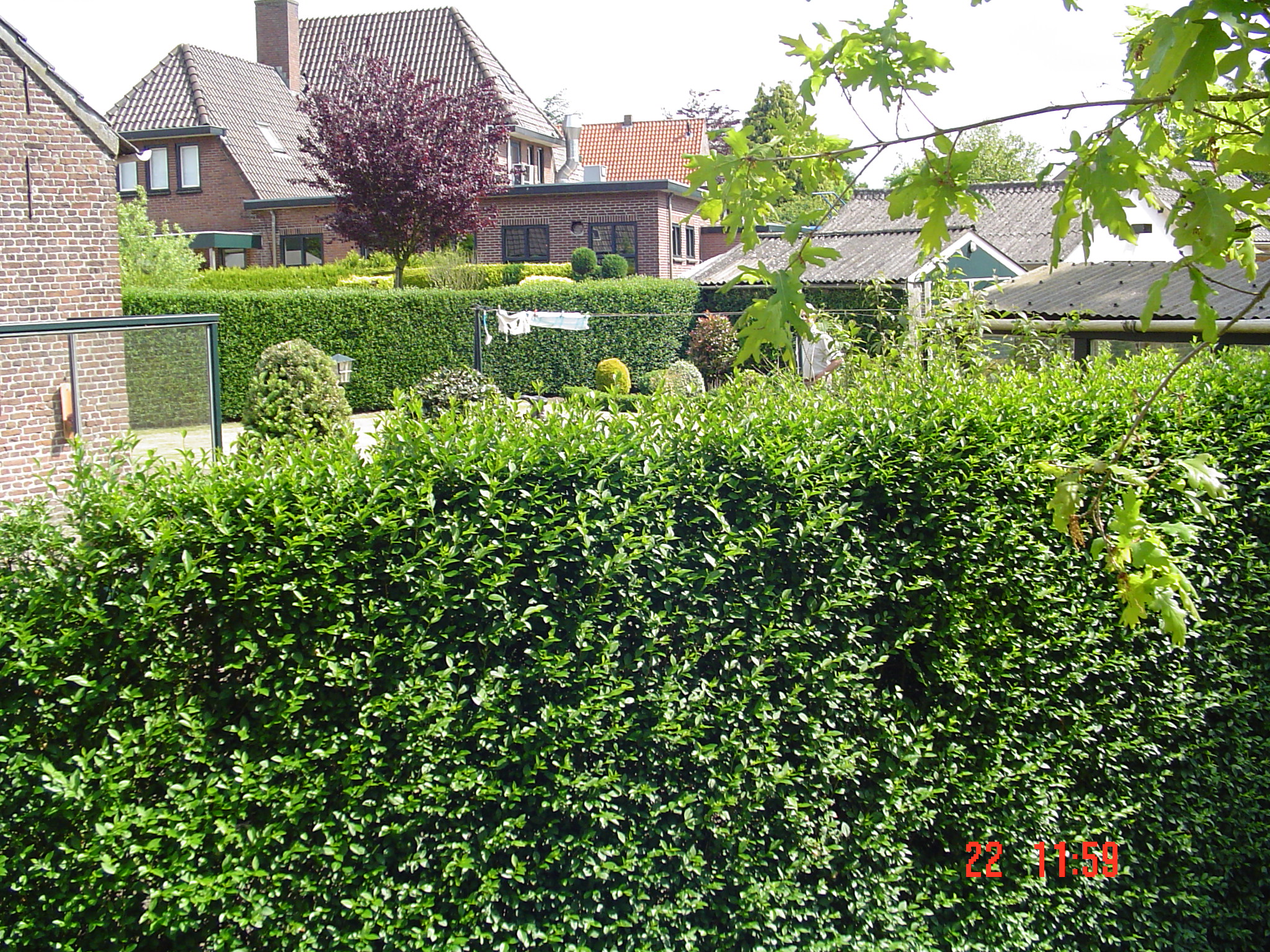 2009HWK037.jpg