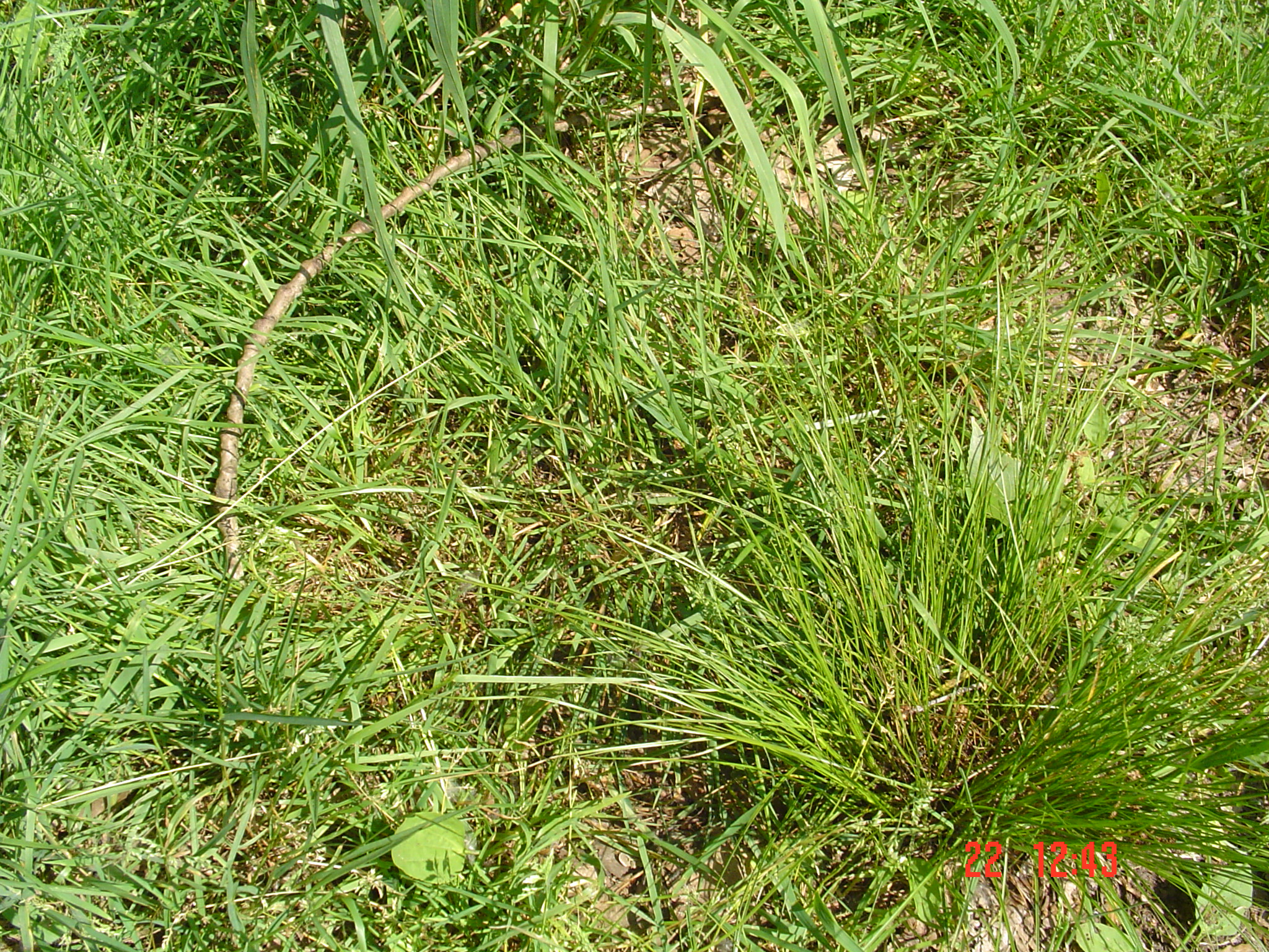 2009HWK050.jpg