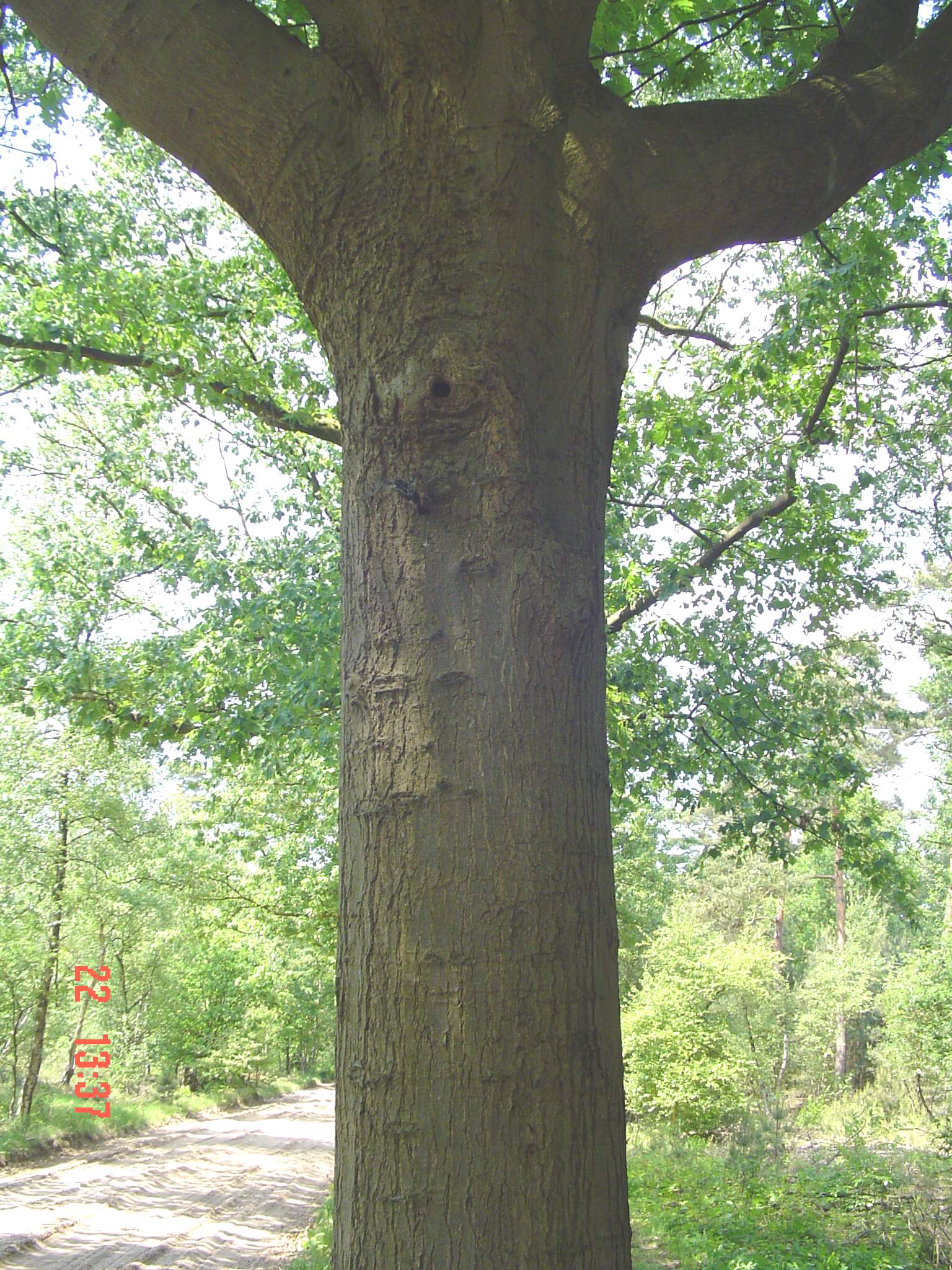 2009HWK062.jpg