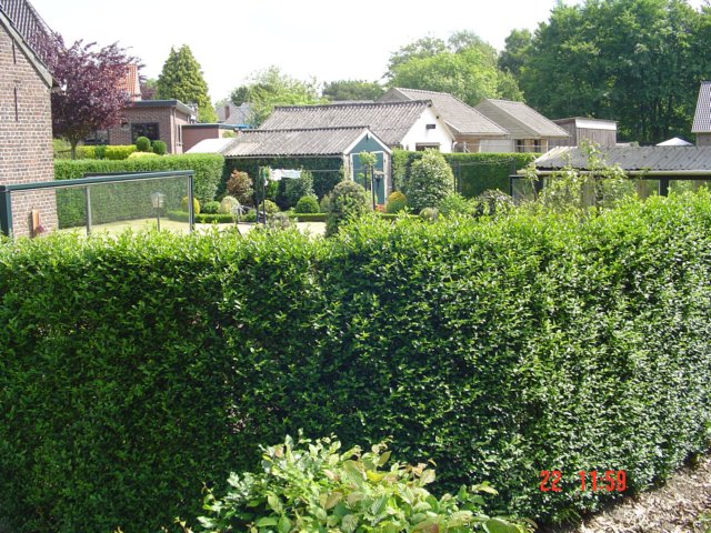2009HWK036.jpg