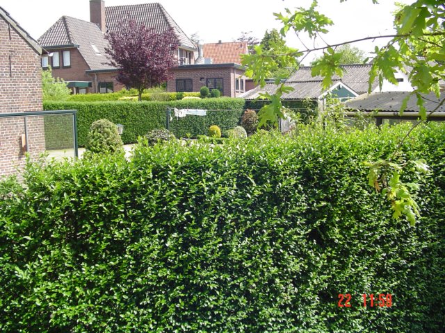 2009HWK037.jpg