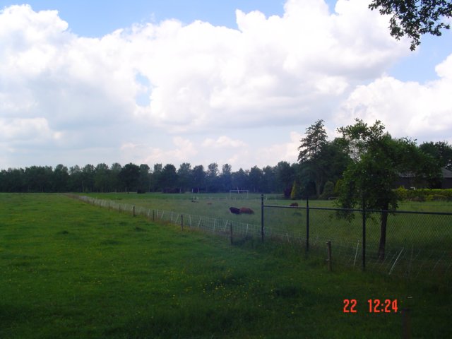 2009HWK041.jpg