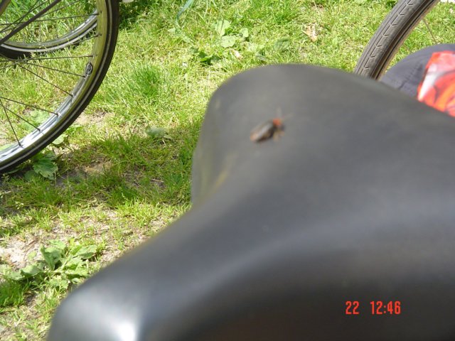 2009HWK052.jpg